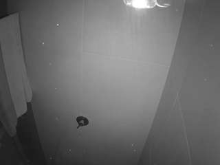 voyeurcam casa salsa bathroom 11